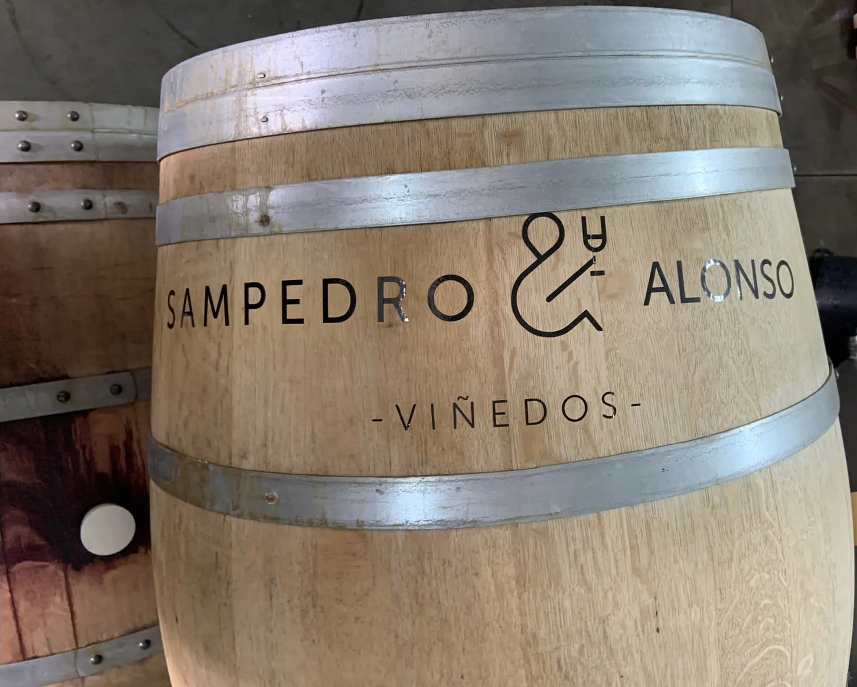 Vinedos Sampedro y Alonso barrica.webp